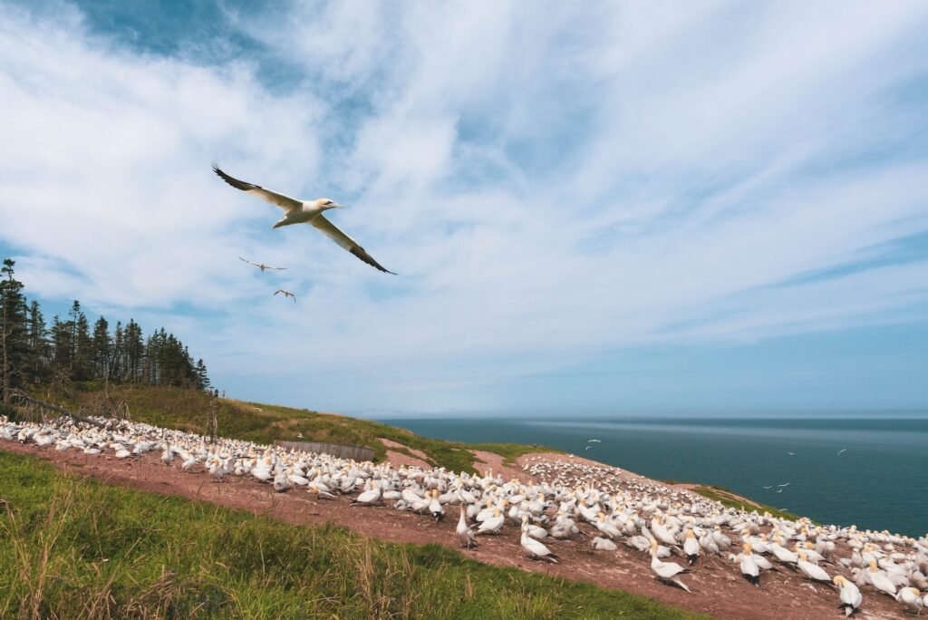 IRCC Holds the First Express Entry Draw of October’23