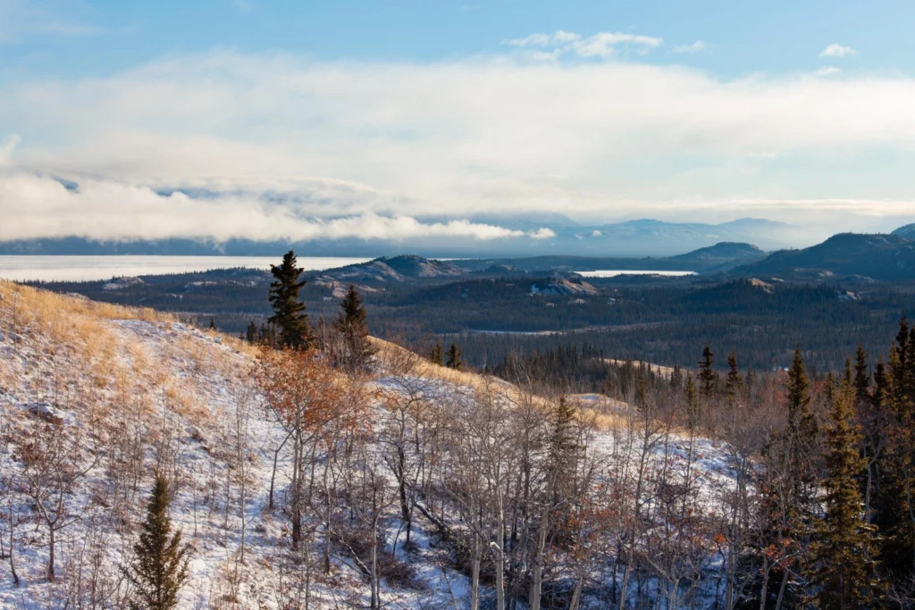 Yukon Prioritizes Local Ties and Skilled Talent in 2025 Nominee Program Overhaul