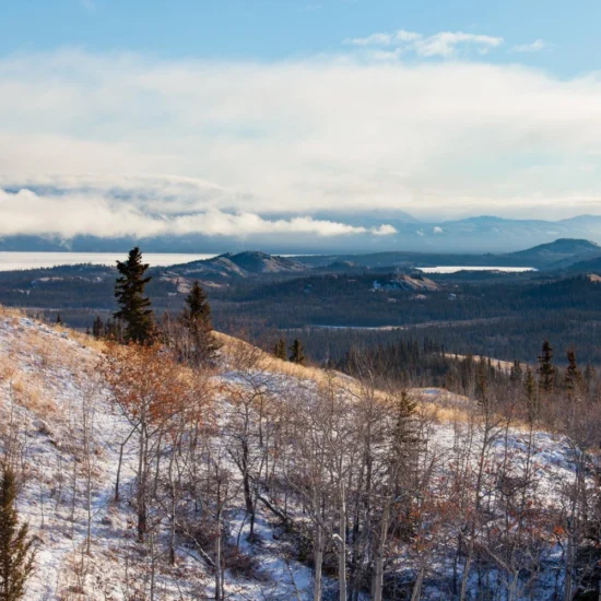 Yukon Prioritizes Local Ties and Skilled Talent in 2025 Nominee Program Overhaul