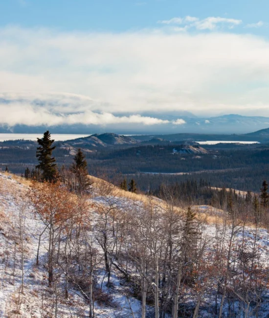 Yukon Prioritizes Local Ties and Skilled Talent in 2025 Nominee Program Overhaul