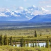 Manitoba Targets Skilled Overseas Talent in Latest PNP Draw