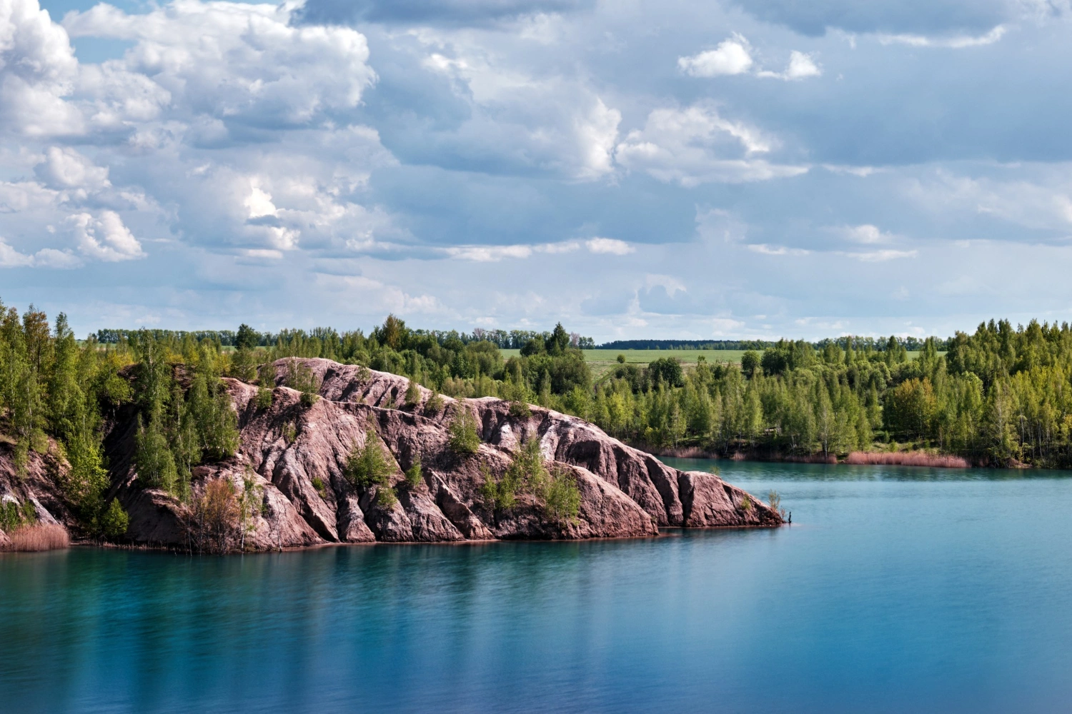 New Brunswick Conducts Multiple PNP Draws in June, Inviting Over 600 Immigration Candidates