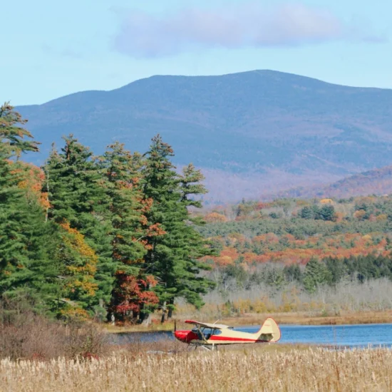 New Brunswick Increases Its Immigration Capacity for 2025