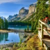 Alberta Conducts Two Targeted PNP Draws, Focuses on Construction and Agriculture Sectors