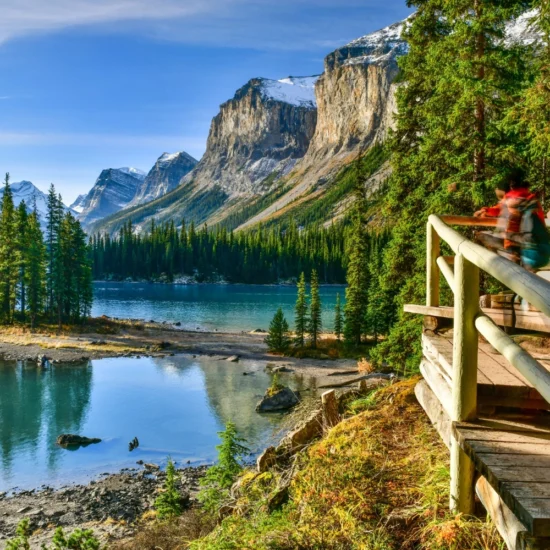 Alberta Conducts Two Targeted PNP Draws, Focuses on Construction and Agriculture Sectors