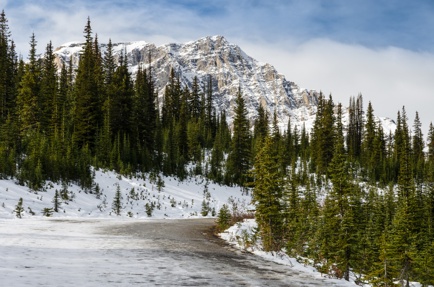 BC Sets the Pace by Confirming Its 2026 PNP Quota as Immigration Planning Shifts, BC PNP draw