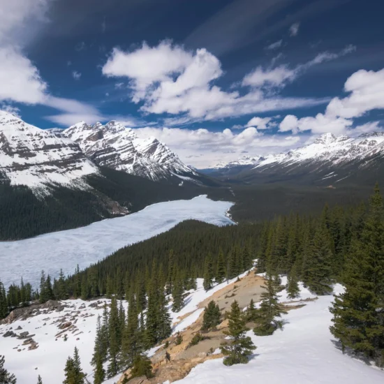 Canada Issues Highest Number of Invitations in 2025 PNP Express Entry Draw