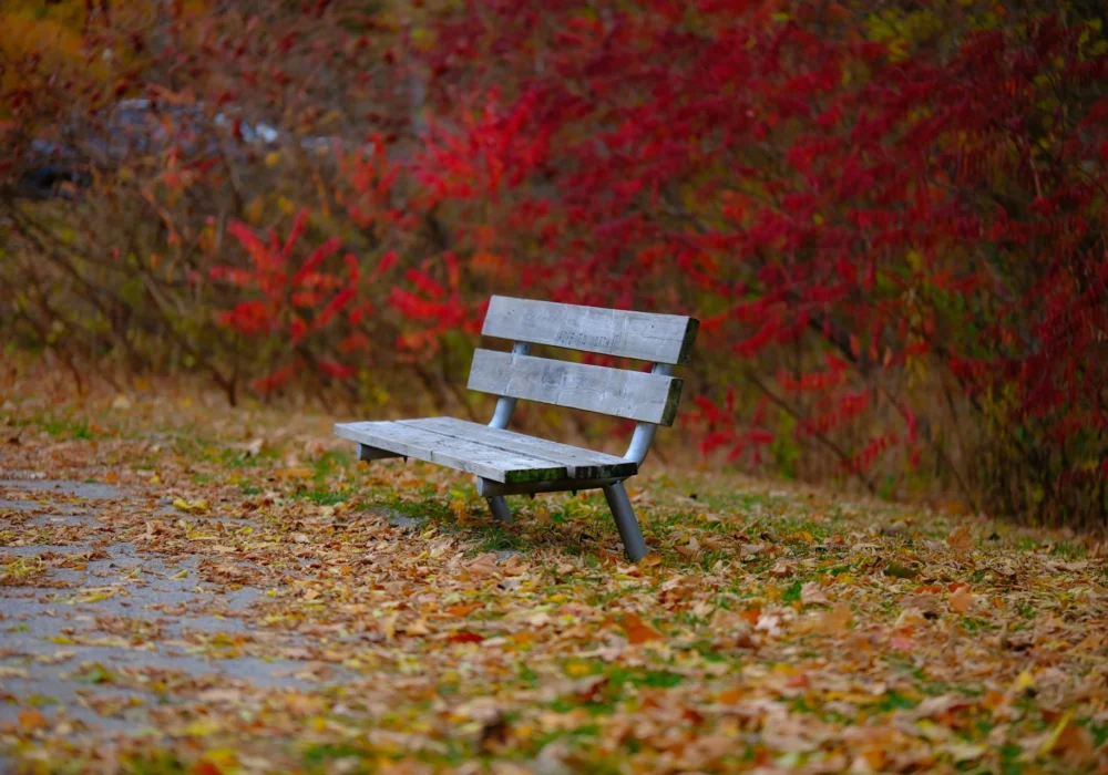 Canada Prepares for New PR Streams in 2026