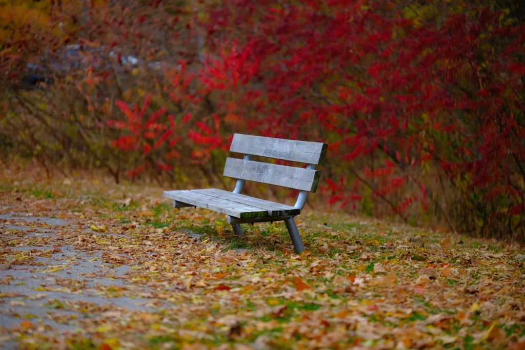 Canada Prepares for New PR Streams in 2026