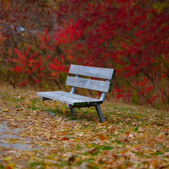 Canada Prepares for New PR Streams in 2026