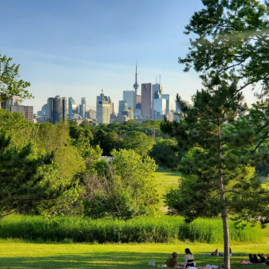 Canada Surprises CEC Candidates With Record-Breaking Express Entry Draw