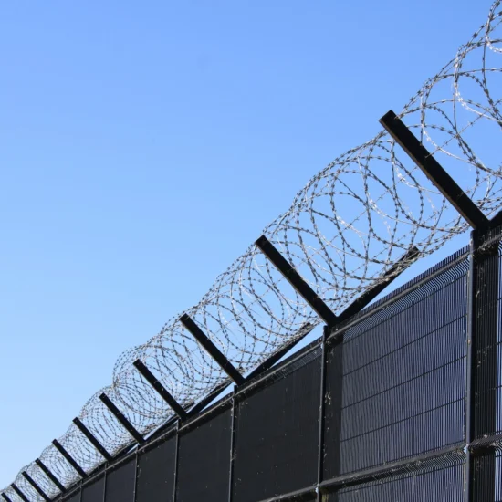 Canadian Parliament Moves to Rein In More Immigration Powers in Border Security Bill