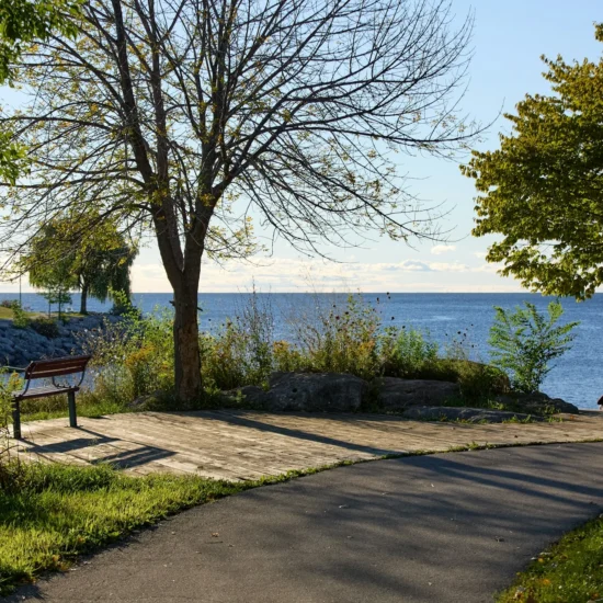 Ontario to Add New PR Pathways Under its PNP Program