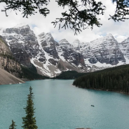 Provincial Immigration Summary