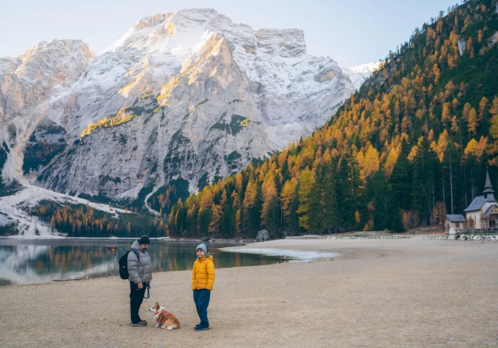 Alberta Rolls Out Series of Targeted Immigration Invitations in February 2026