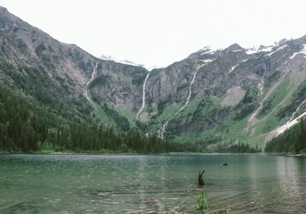 Latest Express Entry Draw Targets Provincial Nominees