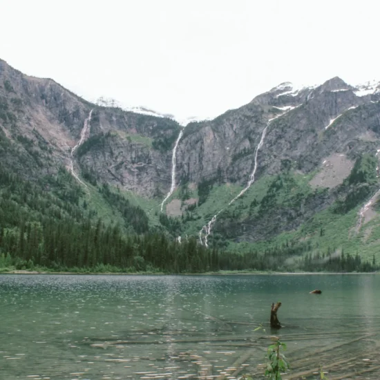 Latest Express Entry Draw Targets Provincial Nominees