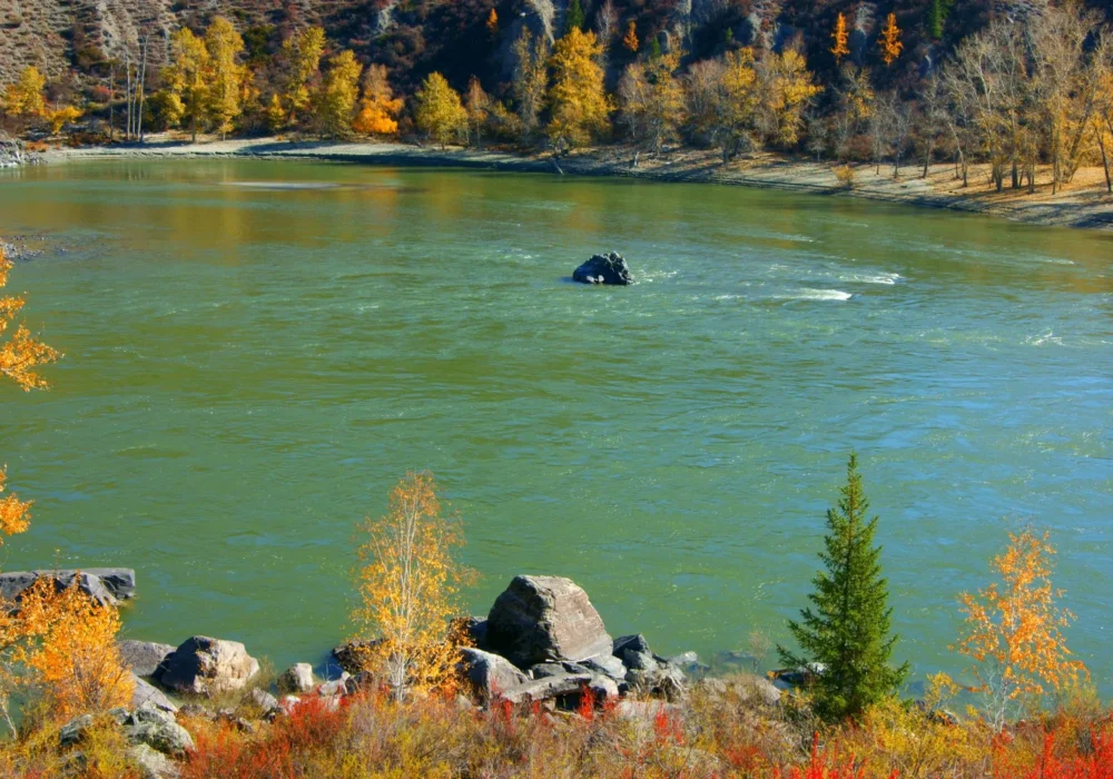 Latest Ontario draw issues 1,100+ ITAs targeting regions.