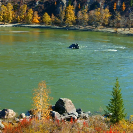 Latest Ontario draw issues 1,100+ ITAs targeting regions.