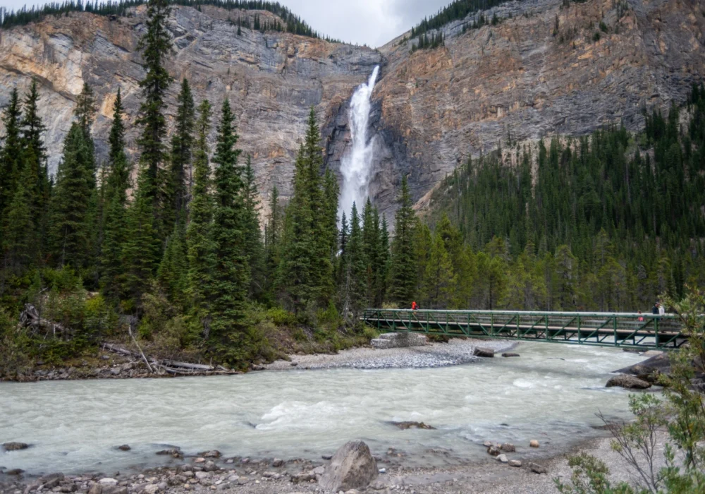 473 ITAs Issued in Latest PNP-Focused Draw