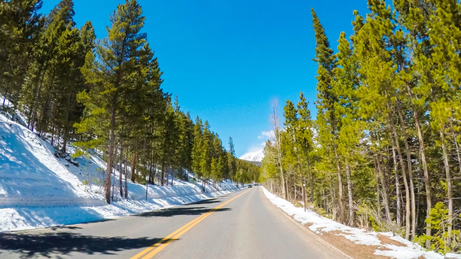 Canada Issues Thousands of ITAs to CEC Candidates in Final March Draw