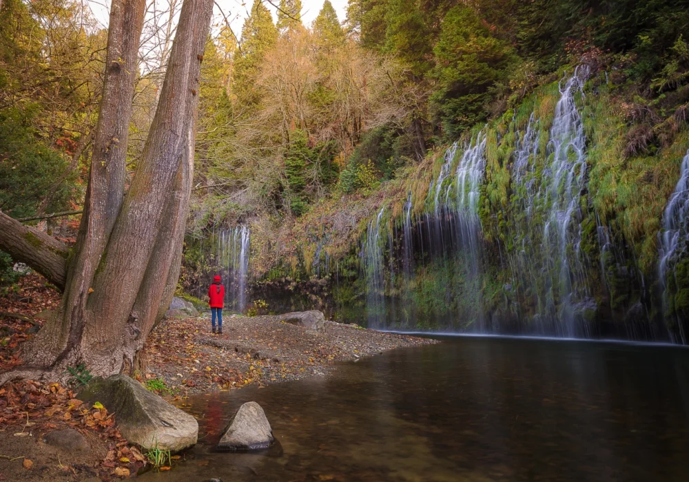 Ontario Invites 1,300+ Candidates in Latest Immigration Draw