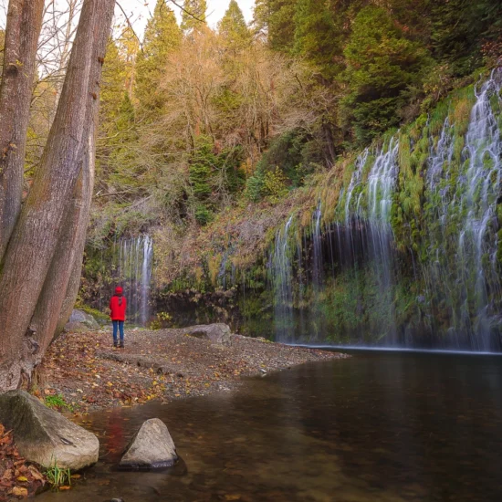Ontario Invites 1,300+ Candidates in Latest Immigration Draw