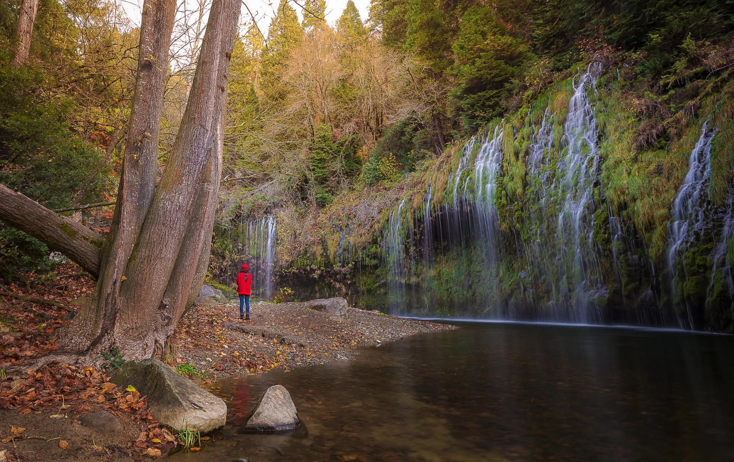 Ontario Invites 1,300+ Candidates in Latest Immigration Draw