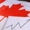 Canada Immigration Backlogs Rise as IRCC Updates Processing Timelines for PR and Citizenship Applications