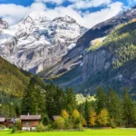 Alberta PNP Invites More Than 1,100 Skilled Candidates Through Multiple Immigration Streams