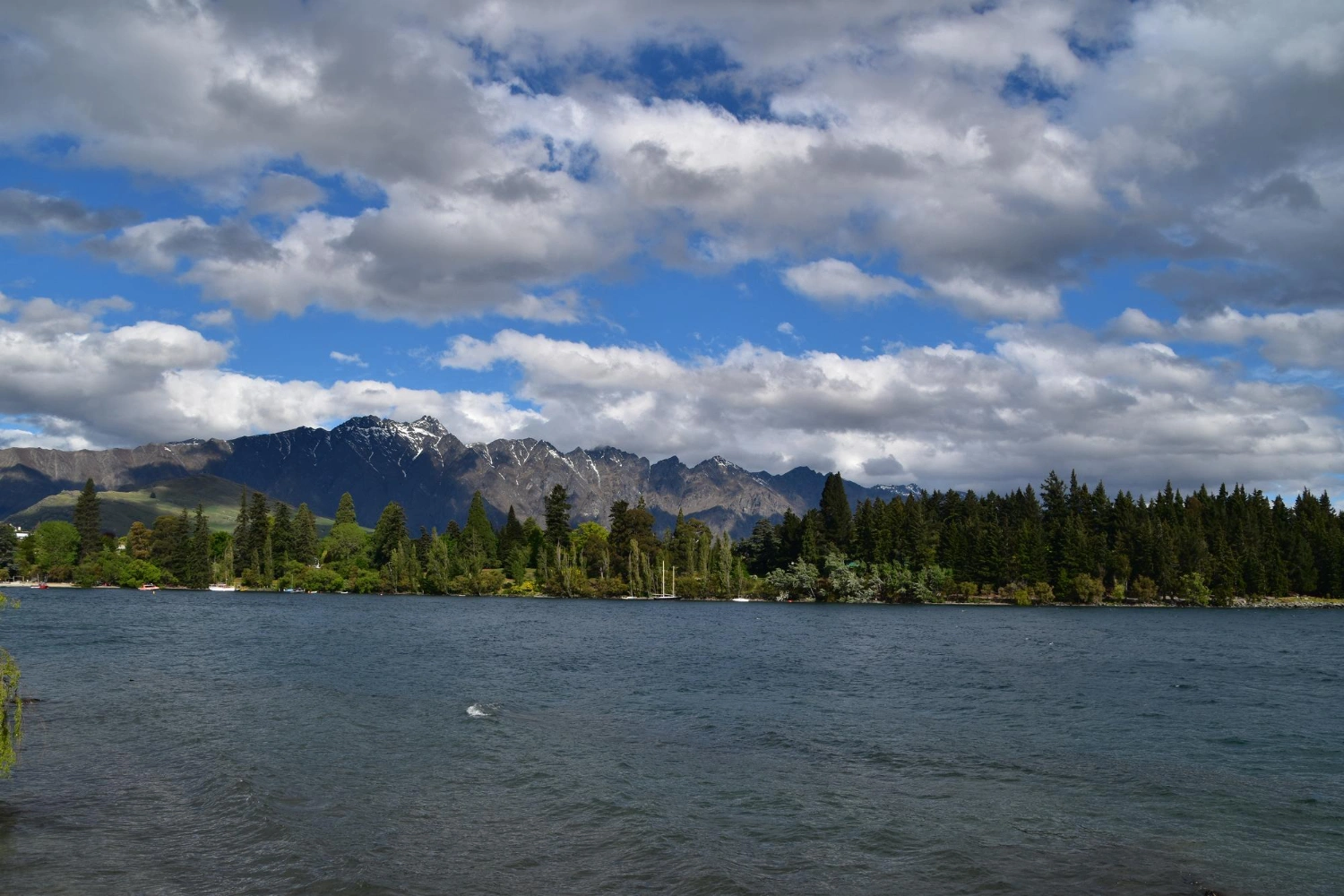 British Columbia Sends 342 Skilled Worker Invitations in Latest PNP Draw
