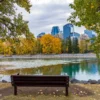 Regional PR Opportunities Extended as EOI Scoring Changes in 2026